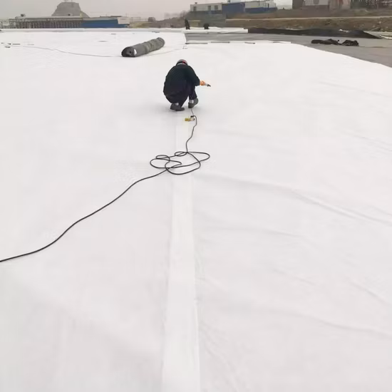 Price 200g 300g Per M2 Filament Pet PP Non Woven Nonwoven Geo Textile Fabric Geotextile