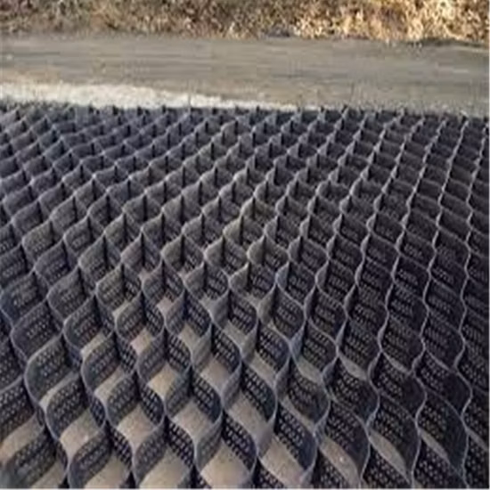 Grass Grid Polymer HDPE Geocell for Erosion Control