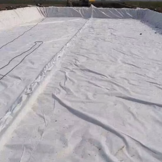 Factory Price 150g 200g 300g 400g 500g 800g 1000g Reinforced PP/Pet Polyester Woven/Nonwoven Geotextile Price for Road Construction